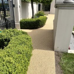 496934346_1238397494962358_286791984153071258_n