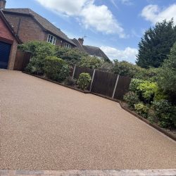 513956095_1301964308608558_5694592176945245243_n